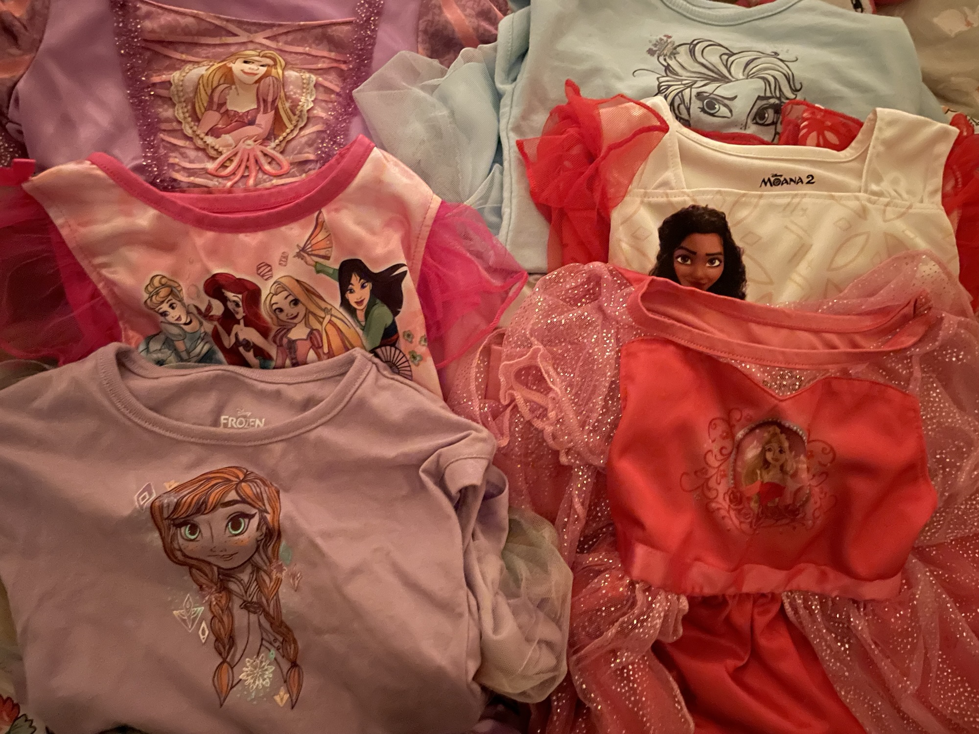 Prepping for our Disney Cruise | The Casual Explorer
